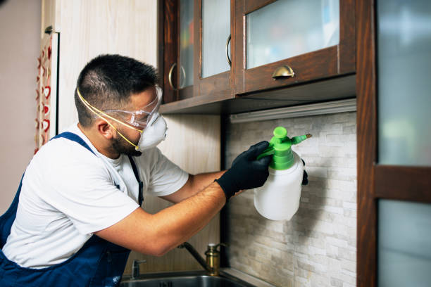 Best Commercial Pest Control Services  in Valley Falls, KS