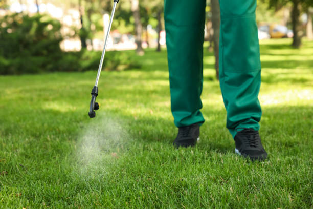 Best Local Pest Control Services  in Valley Falls, KS