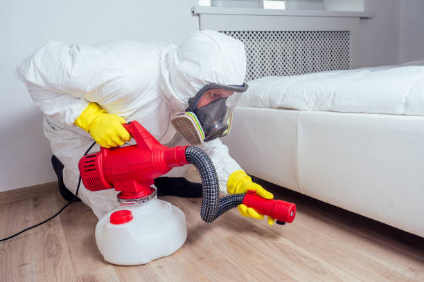 Wasp Removal Services in Valley Falls, KS